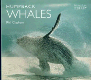 Humpback Whales
