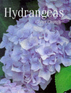 Hydrangeas