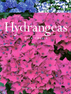 Hydrangeas