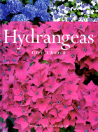 Hydrangeas