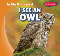 I See an Owl