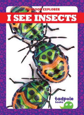 I See Insects - Mayerling, Tim