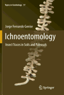 Ichnoentomology: Insect Traces in Soils and Paleosols