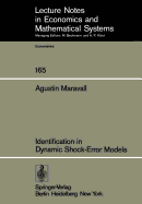 Identification in Dynamic Shock-Error Models