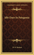 Idle Days in Patagonia