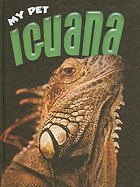 Iguana