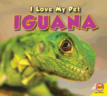 Iguana