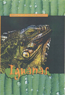 Iguanas - Donovan, Sandra