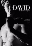 Il David Di Michelangelo