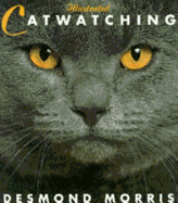 Illustrated catwatching