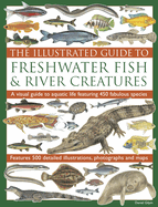 Illustrated Guide to Freshwater Fish & River Creatures