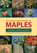 Illustrated Guide to Maples