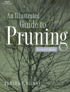 Illustrated Guide to Pruning