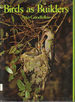 Birds as Builders