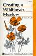 Creating a Wildflower Meadow