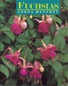 Fuchsias