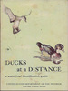 Ducks at a Distance: A Waterfowl Identification Guide