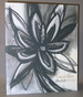 David Bates: Black & White