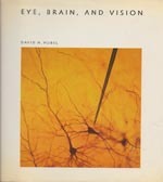 Eye, Brain, and Vision
