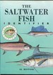The Saltwater Fish Identifier