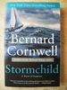 Stormchild: a Novel of Suspense