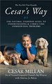 Cesar's Way: the Natural, Everyday Guide to Understanding and Correcting Common Dog Problems