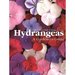 Hydrangeas
