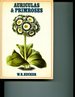 Auriculas and Primroses