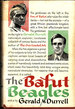 The Bafut Beagles