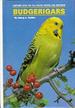 Budgerigars