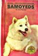 Samoyeds