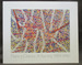Nancy Graves: a Survey 1969 / 1980