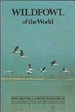 Wildfowl of the World