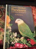 Gray-Cheeked Parakeets and other Brotogeris