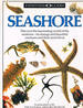 Seashore [import]