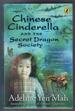 Chinese Cinderella and the Secret Dragon Society