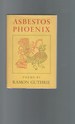Asbestos Phoenix