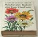 A Concise Guide in Colour. Window-Box, Balcony and Patio Gardening