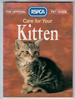 Care for Your Kitten