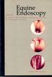 Equine Endoscopy