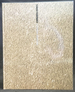 Richard Misrach: Chronologies