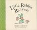 Little Rabbit Runaway