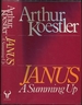 Janus: a Summing Up