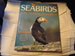 Sea Birds