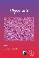 Myogenesis