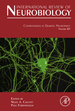 Controversies in Diabetic Neuropathy