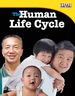 The Human Life Cycle