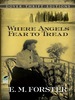 Where Angels Fear to Tread