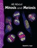 All About Mitosis and Meiosis