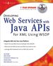 Developing Web Services With Java Apis for Xml Using Wsdp